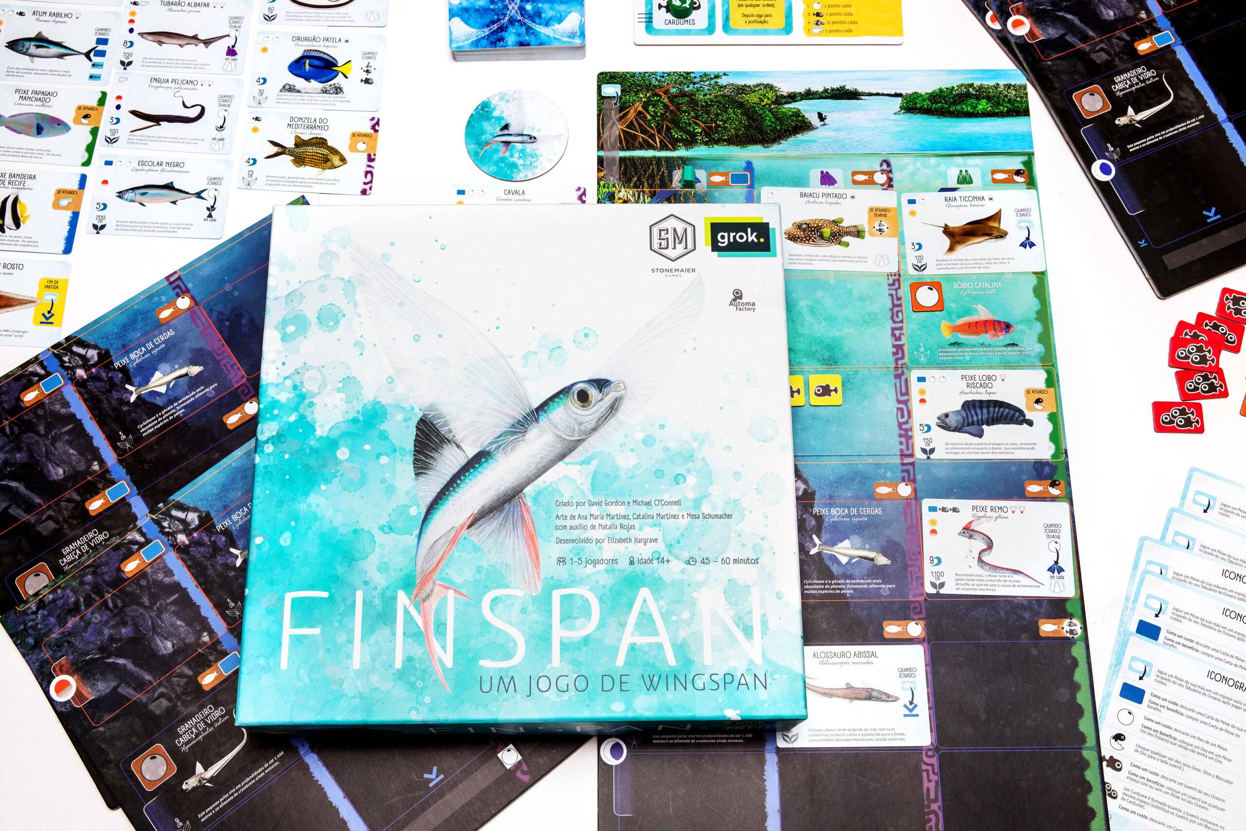 Finspan - Imagem 2